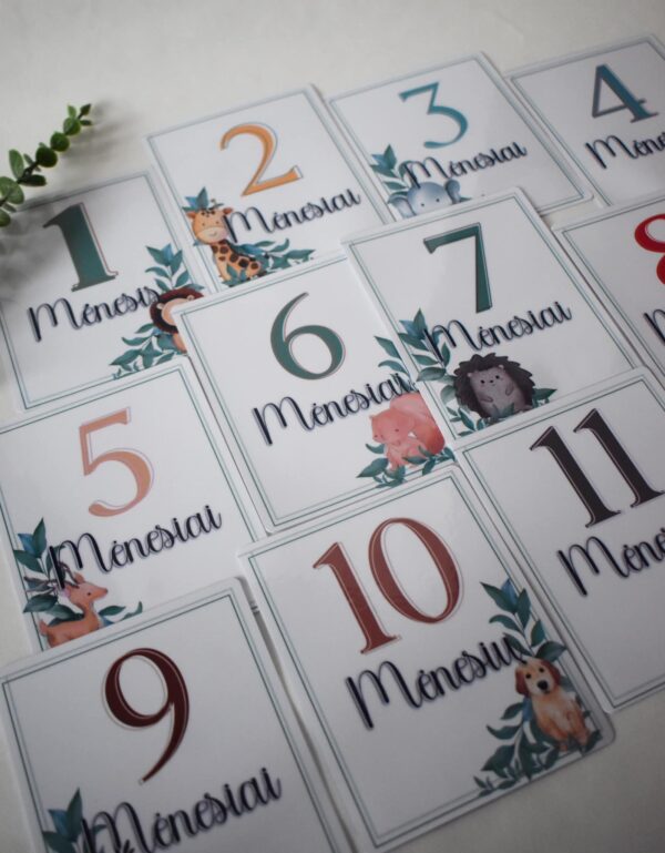 Kortelės "Mano pirmieji metai"