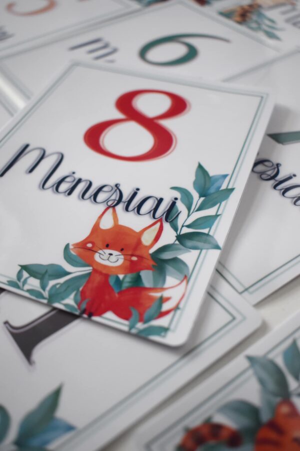 Kortelės "Mano pirmieji metai"