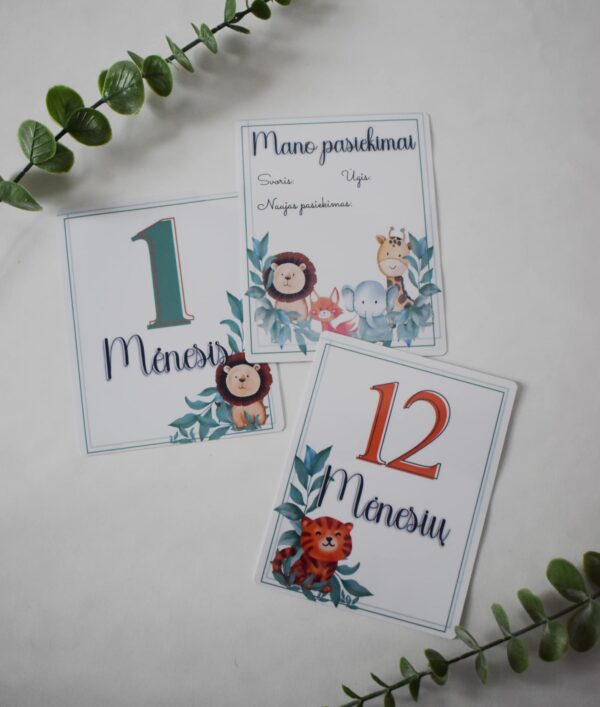 Kortelės "Mano pirmieji metai"